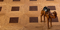 Paradise Parquet 8