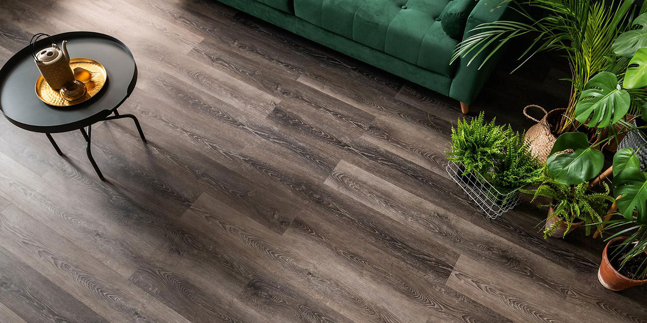 Adelar Solida Acoustic