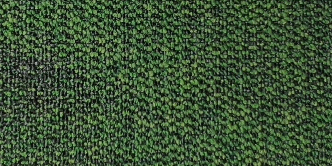 Bonkeel Pascal