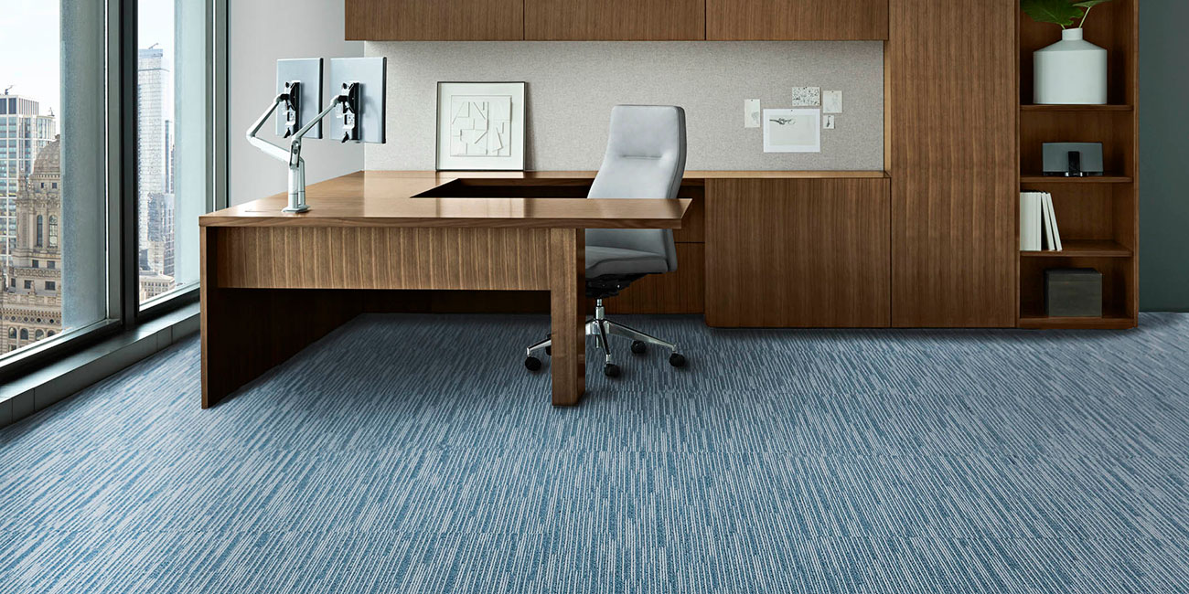 Condor Graphic Ambition