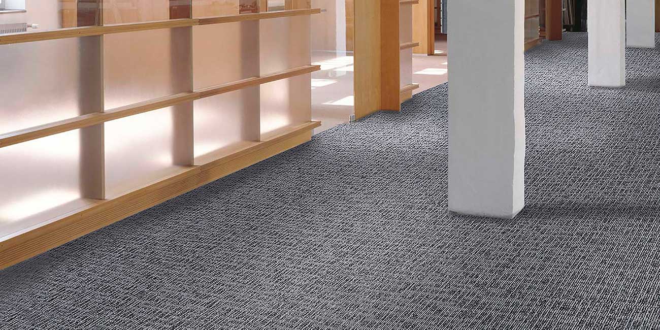 Condor Graphic Imagination