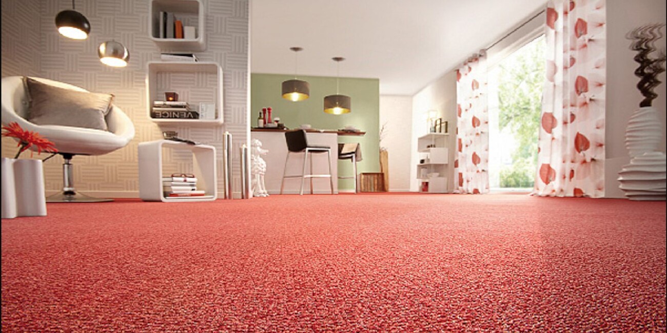 Condor Minnesota New