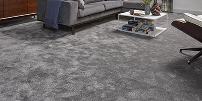 Condor Vivaldi Heather