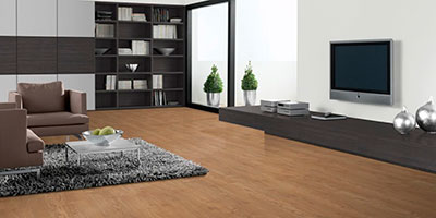 Pro Classic 8-33 4V