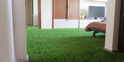 Искусственная трава Premium Grass Ландшафтная