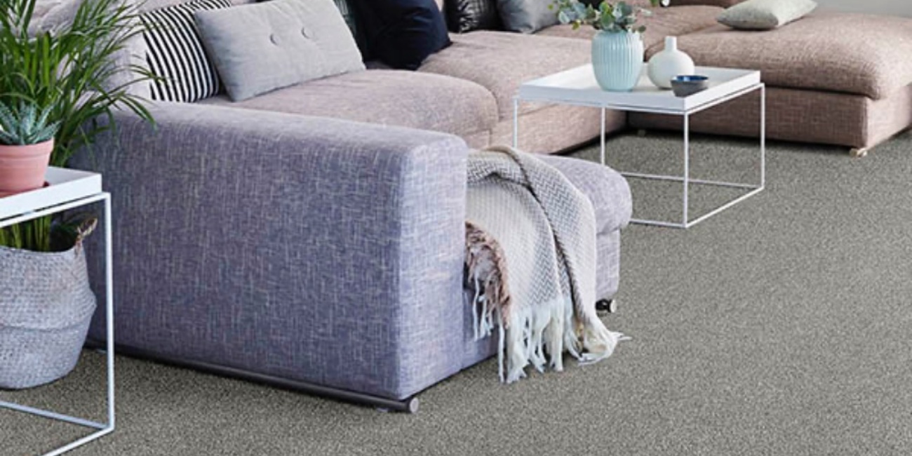 Standart Carpets Mountain View