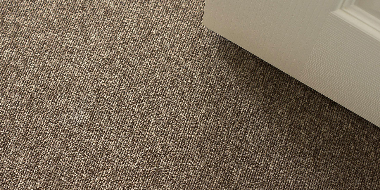 Зартекс Daily