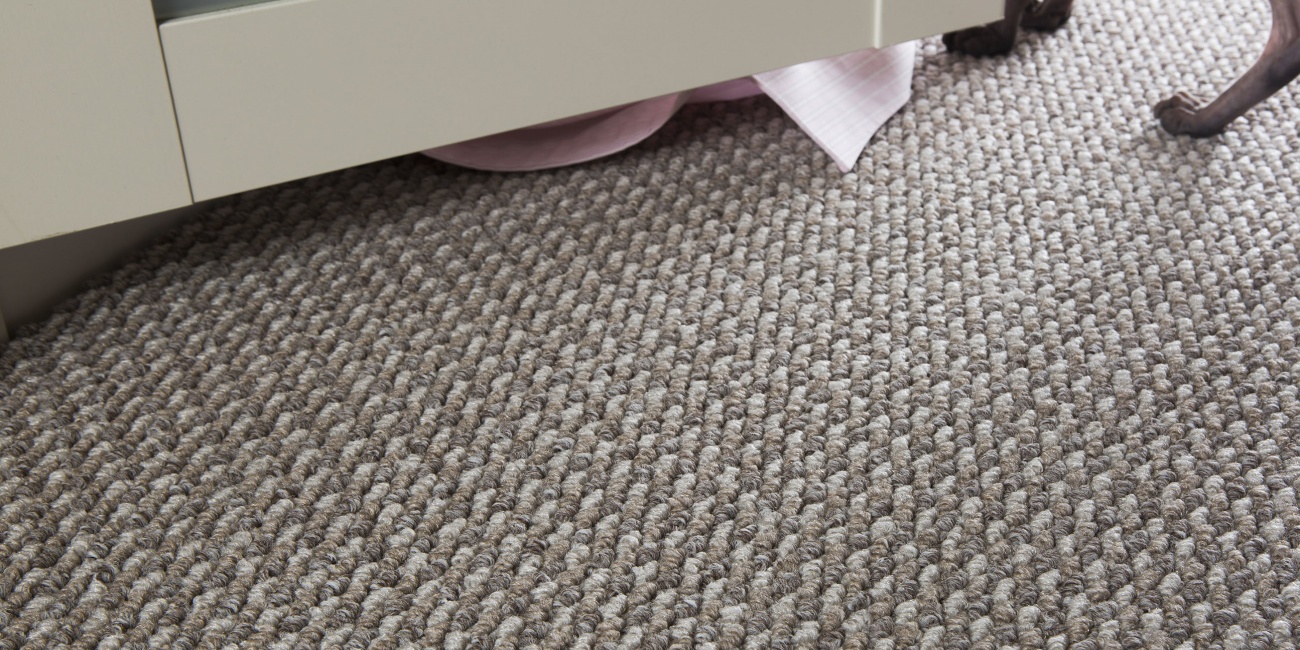 Зартекс Рифей