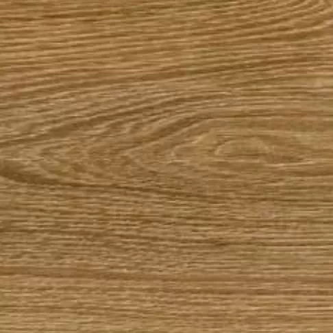 D3746 Дуб Хайде