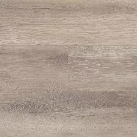 3873 Дуб Робен