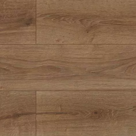 3888 Дуб Турин