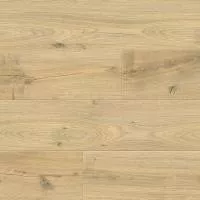 Ламинат Floorwood Paradigma 8335 Дуб Риман