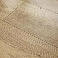 Ламинат Floorwood Paradigma 8335 Дуб Риман