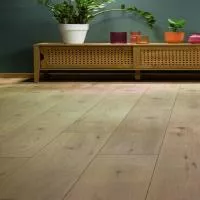 Ламинат Homflor Patio Medium 575 Fonio Oak