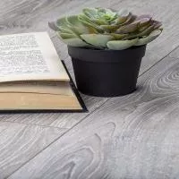 Ламинат Homflor Strong 619 Sardinia Oak