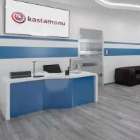 Ламинат Kastamonu Sunfloor 8-32 4V SF34 Дуб Гвинея