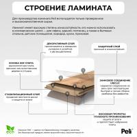 ANP-909 фото 3