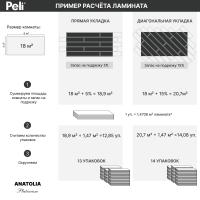 ANP-911 фото 4