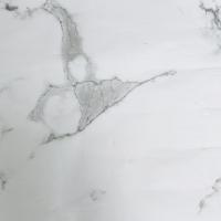 DF-101 фото 1