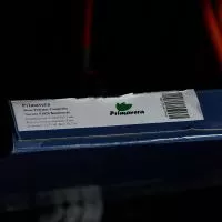 Кварцвиниловая плитка Primavera Novara Grout N1826 Bautisterio