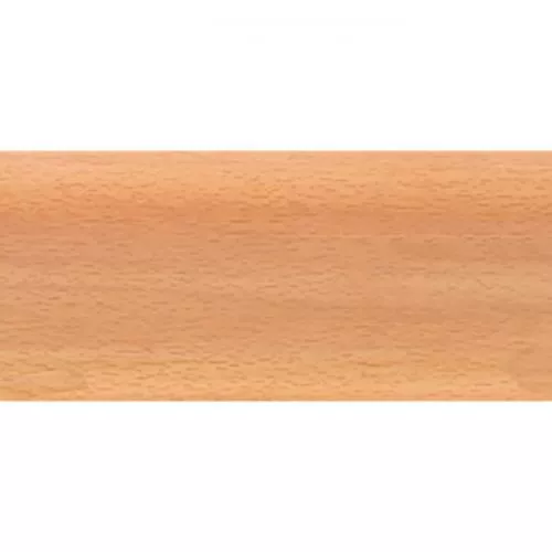 L027 Бук ютландский