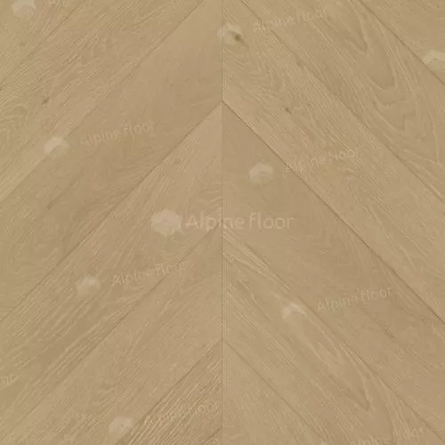 EW203-01 Дуб Шампань