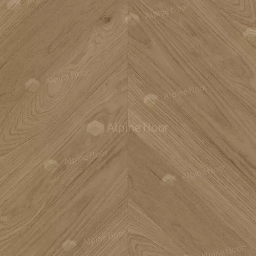 EW203-04 Дуб Миндальный