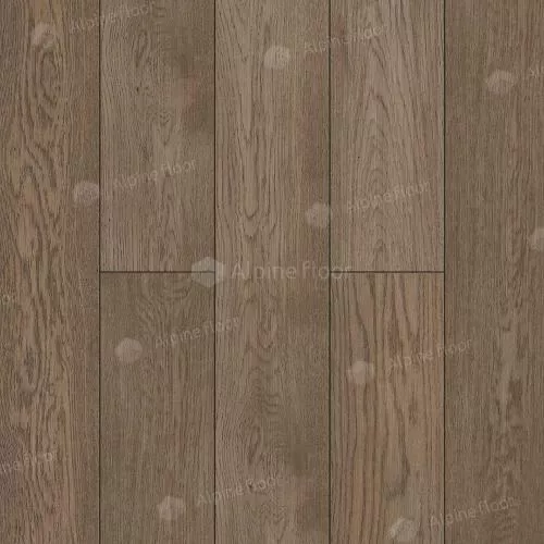 EW200-06 Дуб Терра