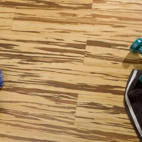 HDF 0013 Зебра Click