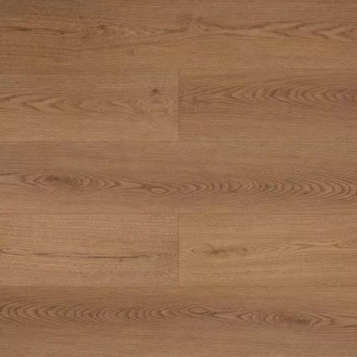 F-0092 Дуб Катеху