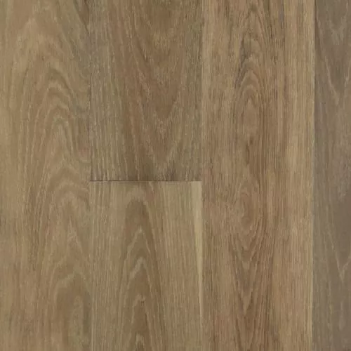  Дуб Интенсо