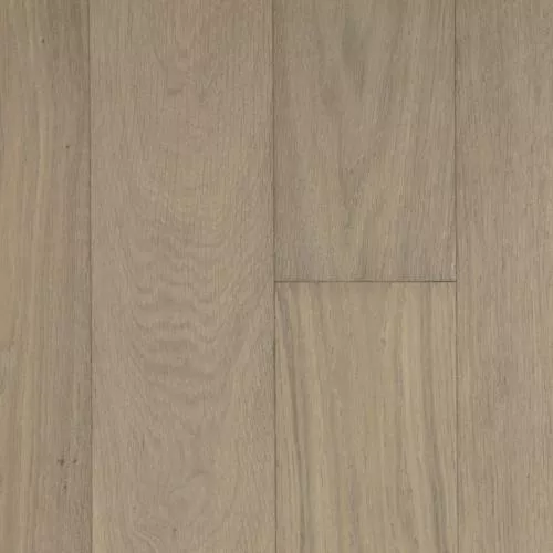  Дуб Ривьера