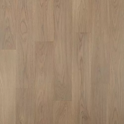  Дуб Higos Натур