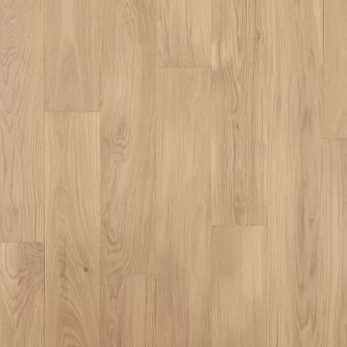  Дуб Alamo Натур
