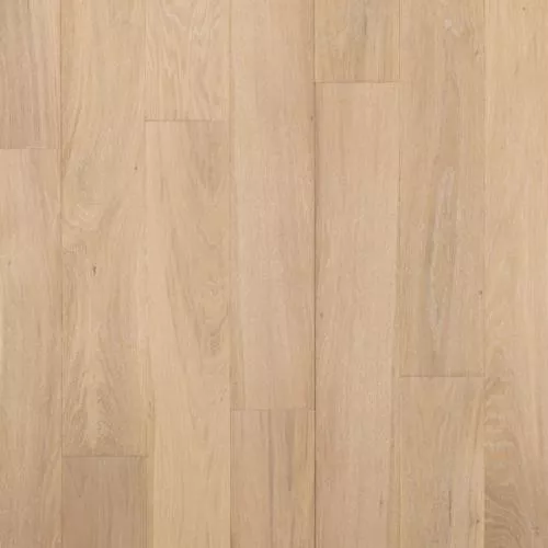  Дуб Disparo Натур