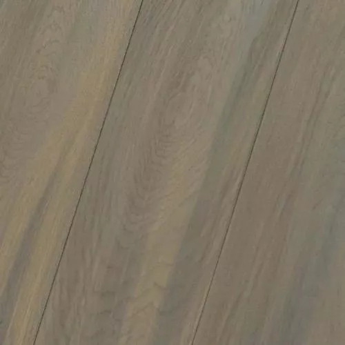  Дуб Semplicita