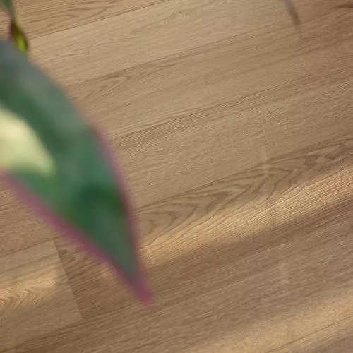  Дуб Натур Фаро