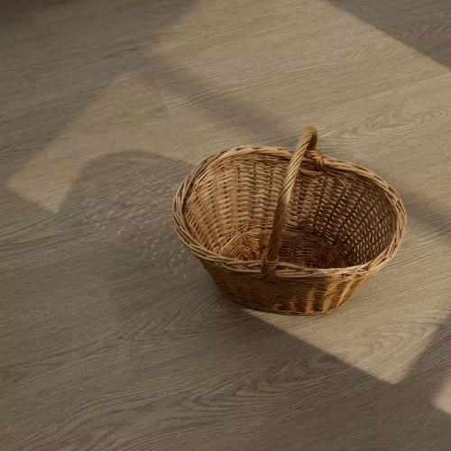  Дуб Натур Винчи