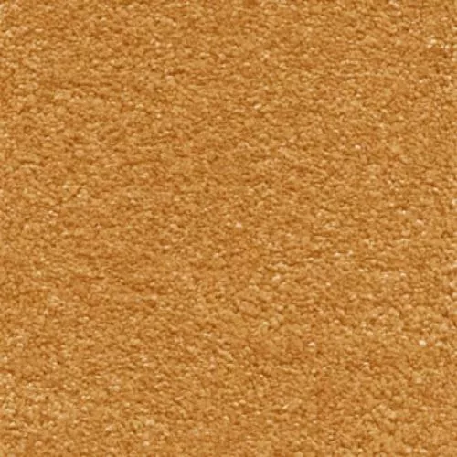  54