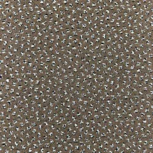  Charcoal