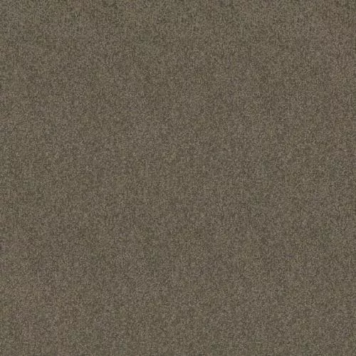 X4454 Коричневый