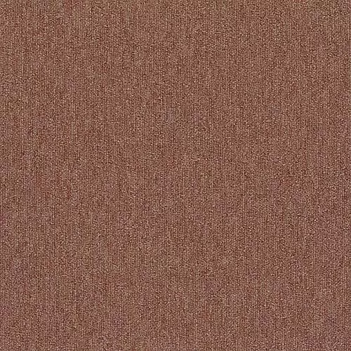213 Apricot