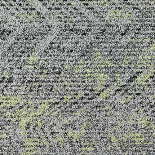  501