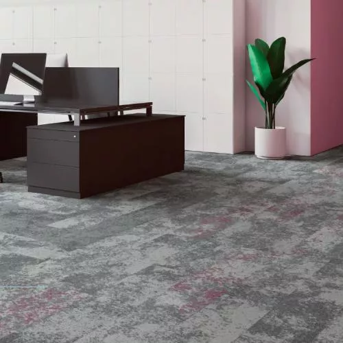 KRL01/24-0804 Gabbro