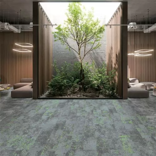 KRL07/24-0204 Sphagnum