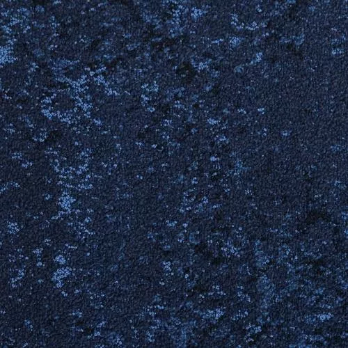  Lagotis