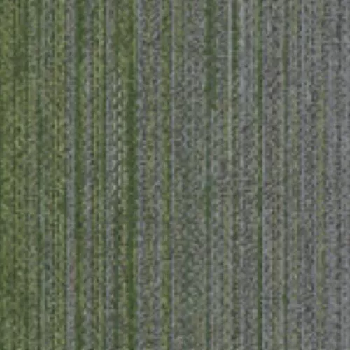 SPK06B Plank