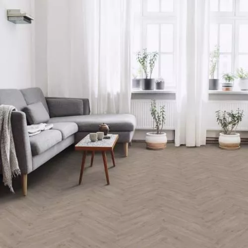 ABF506 Дуб Гропиус