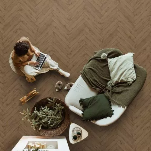 ABF507 Дуб Барраган