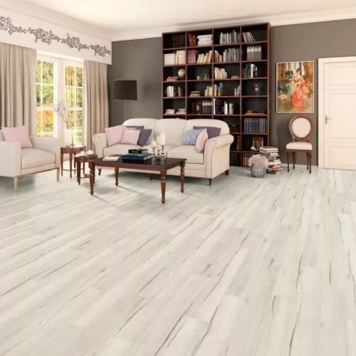 2972 Дуб Кассини